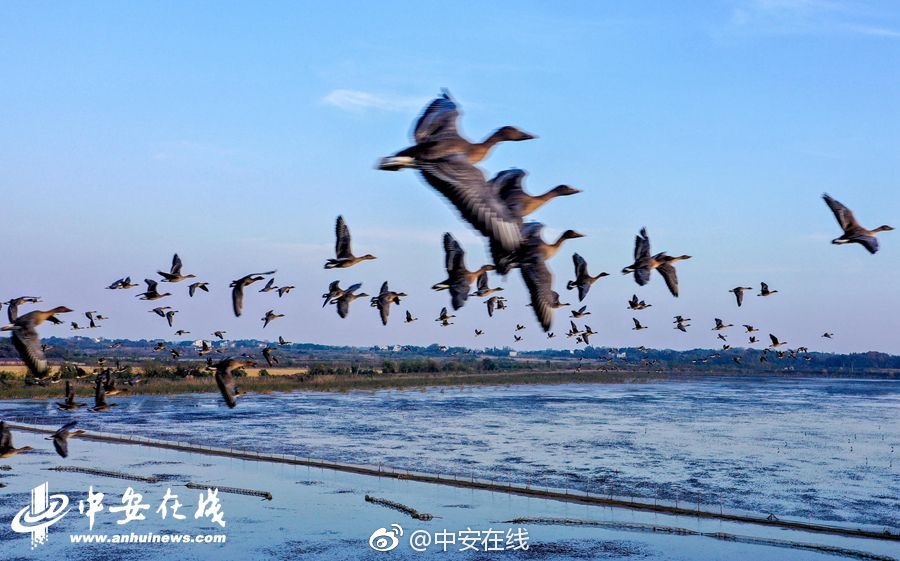 湖北荆门：全国滑翔伞运动员决战“圣境之巅”